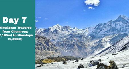 Short Annapurna Base Camp Trek 7 Days with Complete Guide